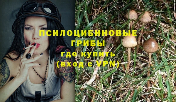 соль ск Навашино