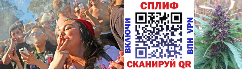 Каннабис индика  продажа наркотиков  Сосновоборск 